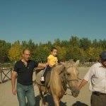 Halil