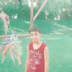 Anil