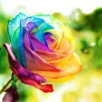 Filiz