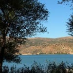 Reyhan