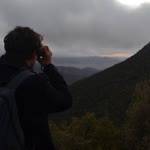 Alber
