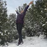 Seher