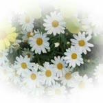 Ebru