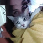 Hazal