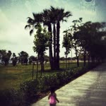 Emel