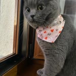 Tuğba