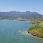 Yavuz