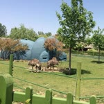 Hayati