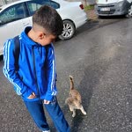 Beytullah