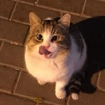 Esila