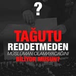Haqqul