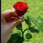 Cengiz