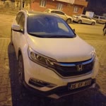 Yigit