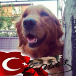 Melih