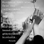 Şahin