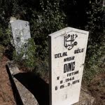 Celal