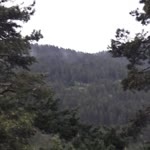 Şevket