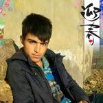 Feyzullah