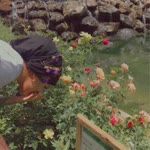 Emine