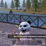 Ali