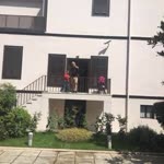 Sibel