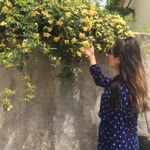 Gülseren