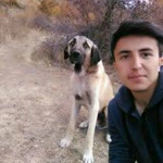 İdris