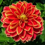 Metin