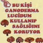 Aytun