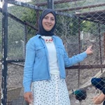 Demet