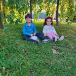 Şirin