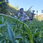 Furkan