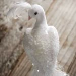 Sibel