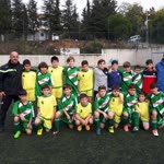 Arda