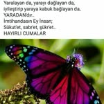 Sevgi
