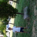 Arif