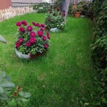 Şule