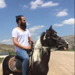 Veysel