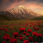 Hevidar
