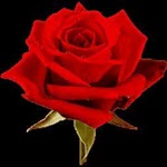 Recep