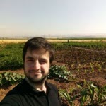 Barış
