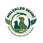 Koray