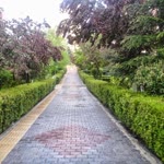Tolga