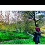 Elif