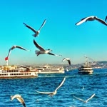 Engin