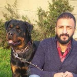 Volkan
