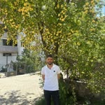 Oguz