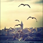 Dilek