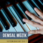Demsal