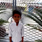 Abhay